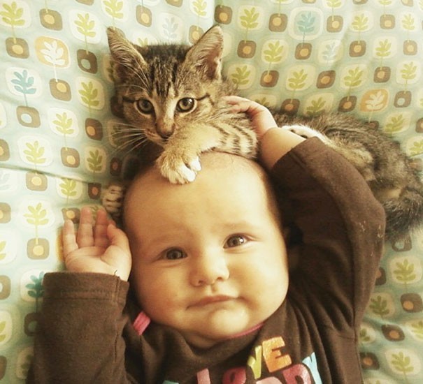 Bebekler ve kediler