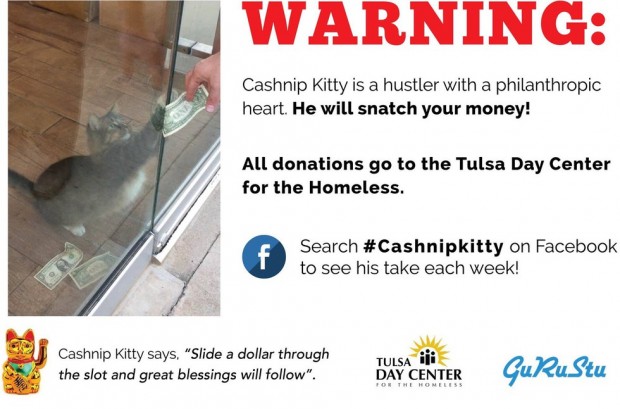 “Cashnip isimli kedini iyilik dolu kalbi olan bir dolandırıcıdır. Paranızı kapar! Ve Tulsa Evsizler Bakım Merkezi’ne bağışlar.”