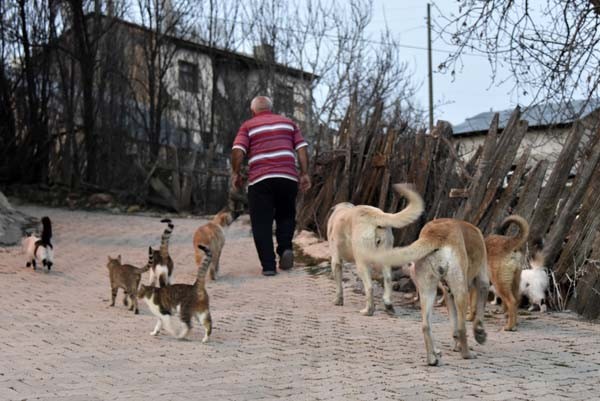 Annesinin vefatının ardından temelli olarak köye yerleşen Cemal Yılmaz, 2010 yılından beri de yalnızlığını beslediği kedi ve köpeklerle p